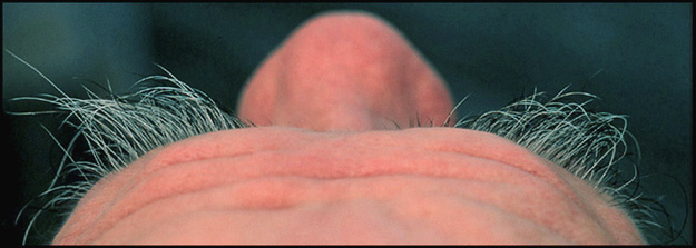 Susan... :  : Welcome to Rodney Central!!!!